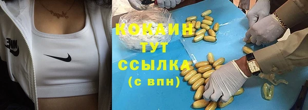 сатива Бронницы