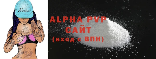 a pvp Бородино