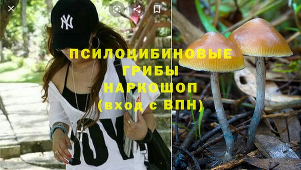 a pvp Бородино
