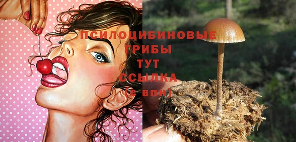 твердый Бугульма