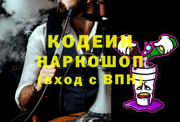 a pvp Бородино