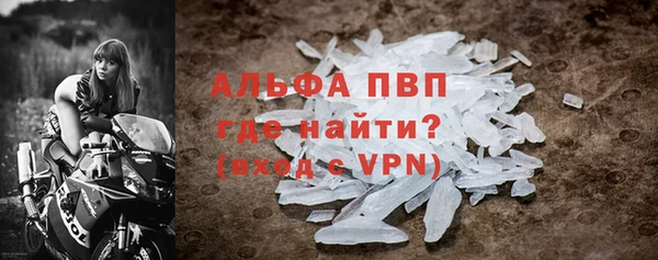 a pvp Бородино