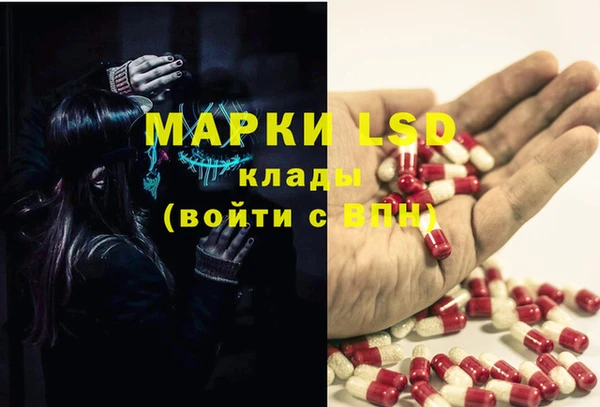 сатива Бронницы