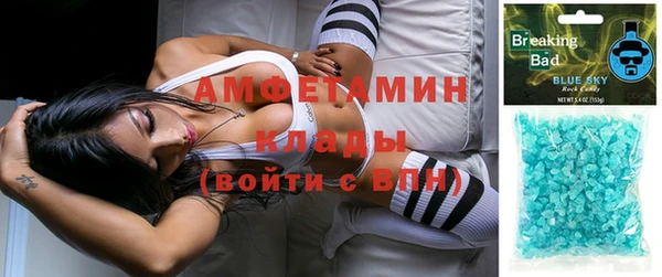 сатива Бронницы